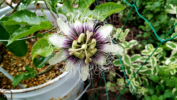 2024年06月24日、16時41分03秒