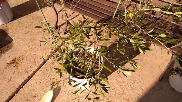 2025年10月29日、15時13分15秒