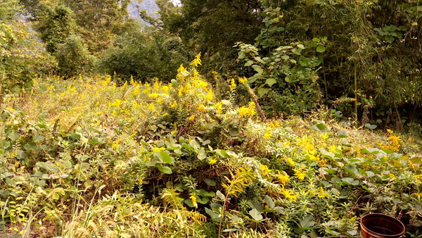 2025年10月24日、09時59分11秒