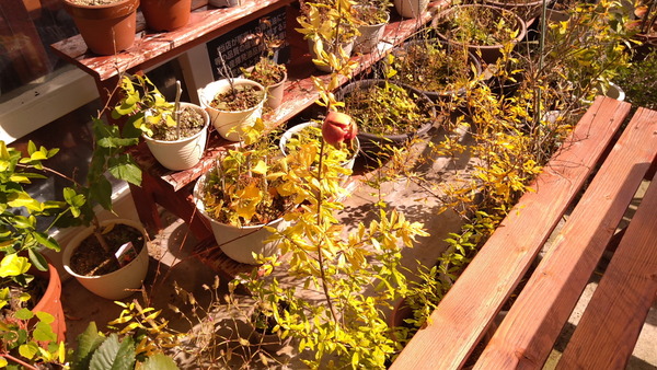 2025年11月03日、11時24分32秒