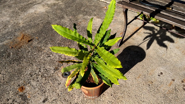 2025年12月06日、14時34分44秒