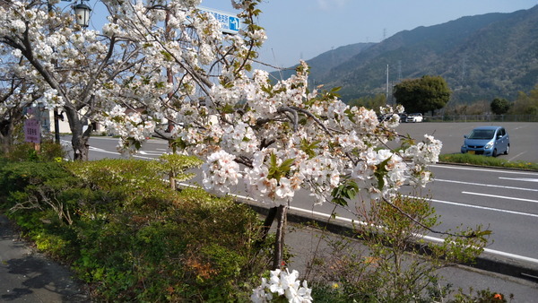 2025年04月19日、09時11分24秒