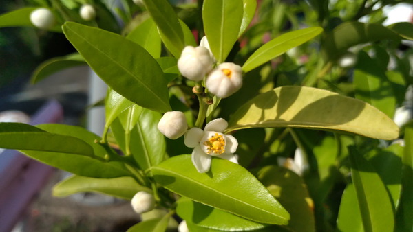 2025年05月20日、16時08分22秒