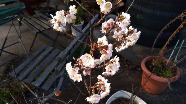 2025年03月25日、16時52分10秒