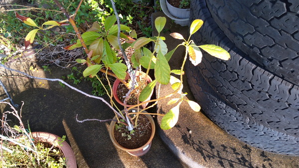 2025年08月19日、08時02分02秒