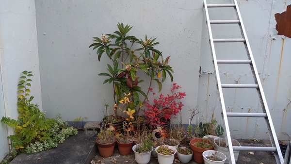 2025年11月17日、15時15分01秒