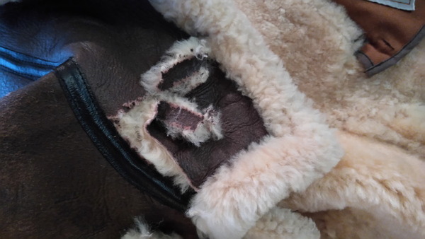 2025年03月02日、09時34分29秒