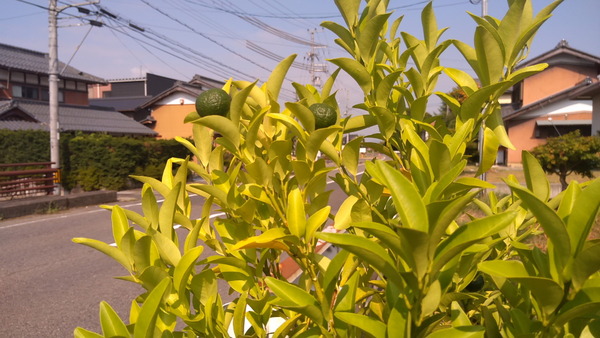 2025年08月29日、09時00分14秒