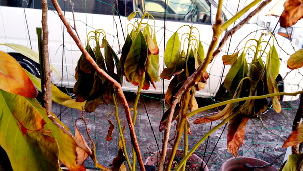 2025年02月05日、17時07分20秒