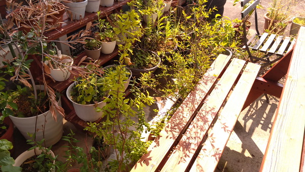 2025年08月05日、08時57分21秒