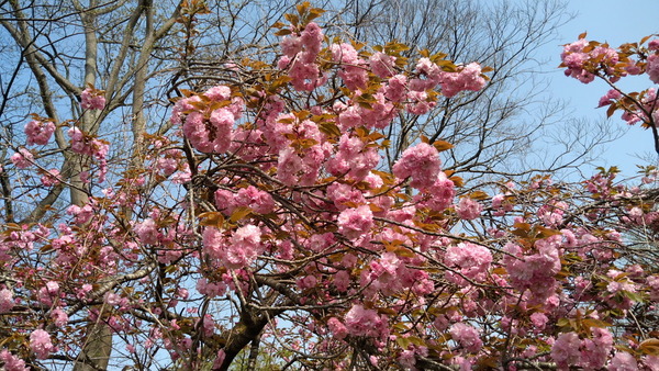 2025年04月19日、08時56分59秒