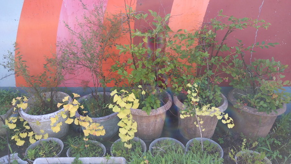 2025年08月19日、08時02分22秒