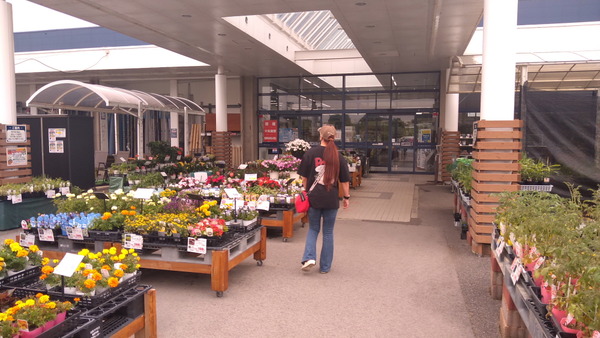 2025年06月08日、12時45分04秒