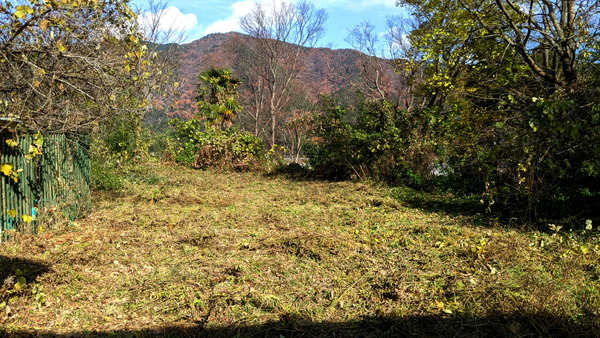 2023年12月09日、12時34分42秒