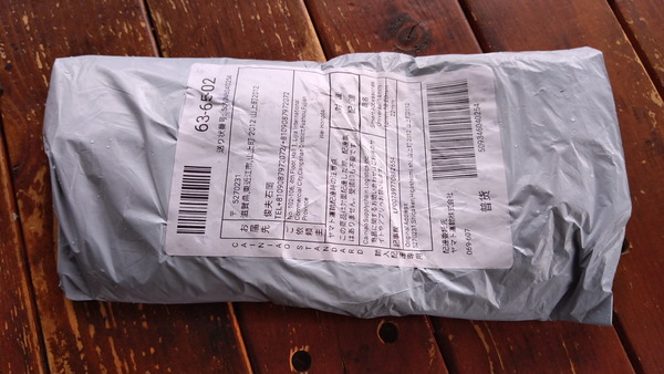 2025年06月11日、11時58分21秒