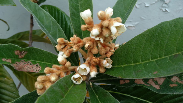 2025年11月17日、15時14分42秒