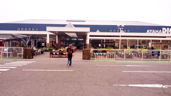 2025年06月08日、12時44分30秒