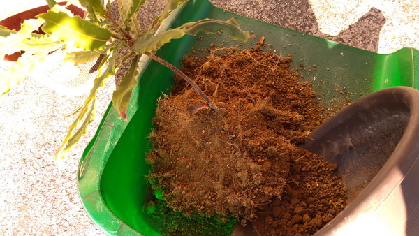 2025年12月06日、14時26分22秒