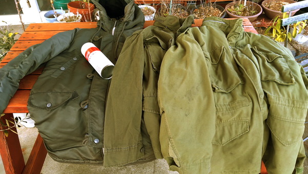 2026年03月20日、14時03分01秒