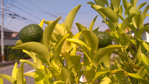 2025年08月29日、09時00分25秒