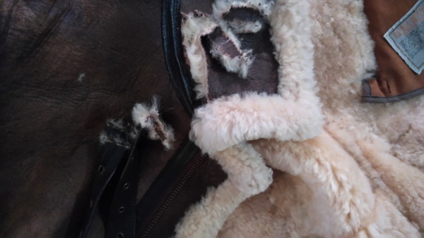 2025年03月02日、09時34分35秒