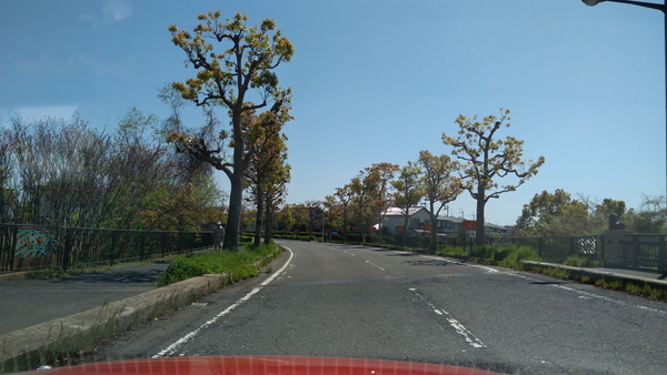 2025年04月21日、10時17分43秒