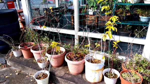 2024年12月11日、11時05分25秒