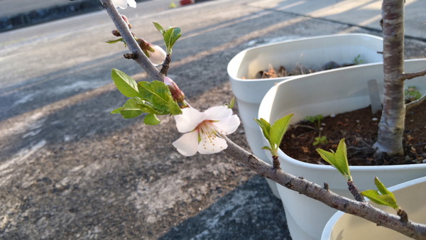 2025年04月07日、17時12分28秒