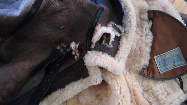 2025年03月02日、09時34分11秒