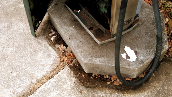 2026年02月05日、16時20分47秒