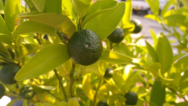 2025年08月29日、09時01分25秒