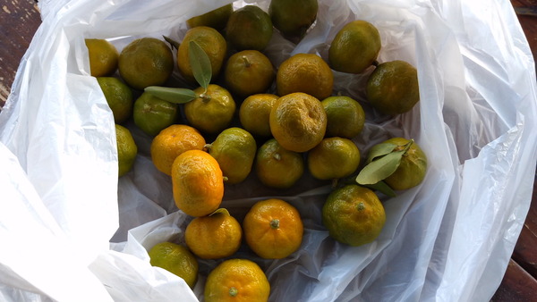 2025年12月05日、14時19分05秒