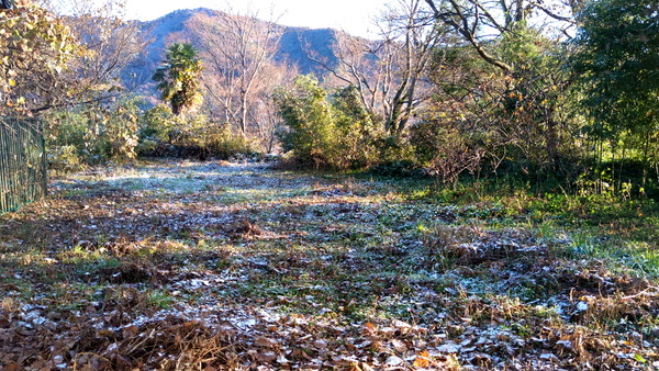 2024年12月19日、08時06分40秒