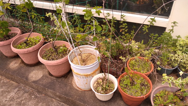 2025年07月10日、11時27分21秒