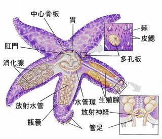 第69話 6 ノースドック 竪鳳編 Cythereaのblog 第69話 6 ノースドック 竪鳳編 Cythereaのblog