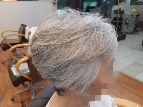 453047517_1036249271838615_996519460948986267_n