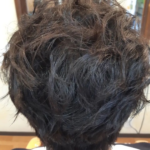 343980742_881672076266678_3108778915640351021_n