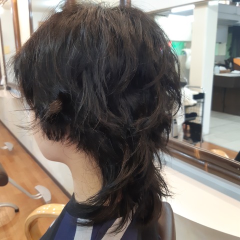 494680760_1271588928304647_6029562911163219534_n