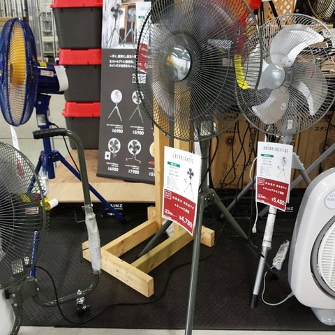 67419951_1653977391400997_6684770374615302144_n