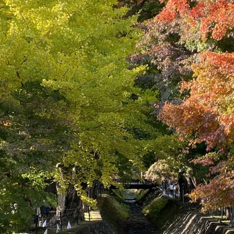 251144315_2447418088723586_1330684053980302007_n