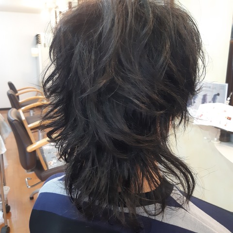 495263536_1271682781628595_1627676868901741134_n