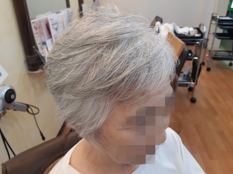 453046195_1036249215171954_8858073826046801891_n