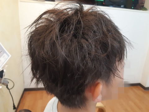 453041520_1034070678723141_8782385199514132373_n