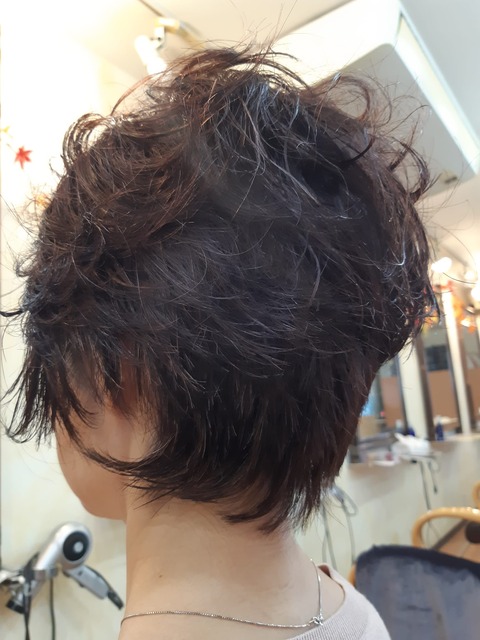 467402478_1125696079560600_4779420116085578977_n