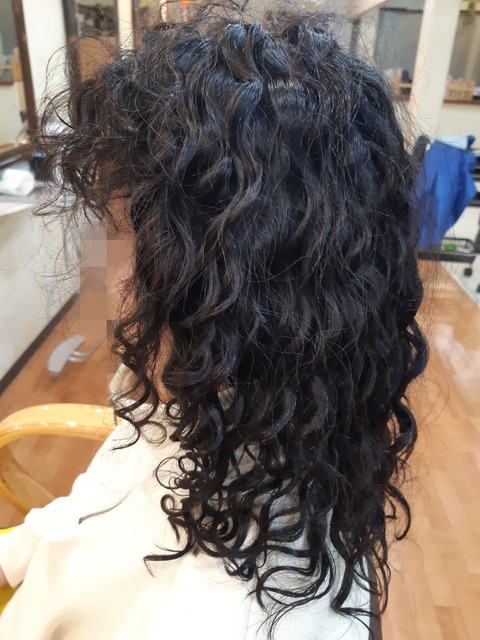 466139141_1120236083439933_7237963615776433608_n