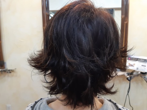 315554403_574627634667450_8793230534010671961_n