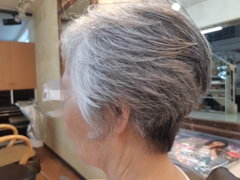 453186236_1036249095171966_2685656991290865489_n