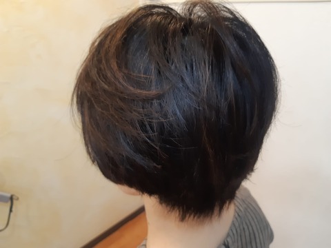 385032101_822186776578200_3490202664204307996_n