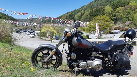 491894603_18456219097073982_4965533159323399715_n
