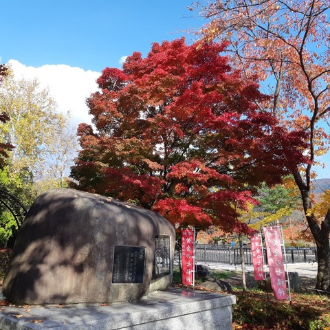 249349819_2447354548729940_4082947478789915820_n